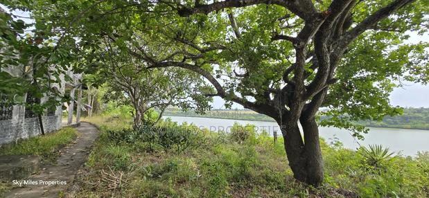 2-acre Prime Creekfront Beach Plot For Sale - thumbnail 2