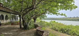 2-acre Prime Creekfront Beach Plot For Sale
