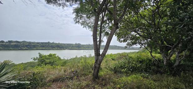 2-acre Prime Creekfront Beach Plot For Sale - thumbnail 4