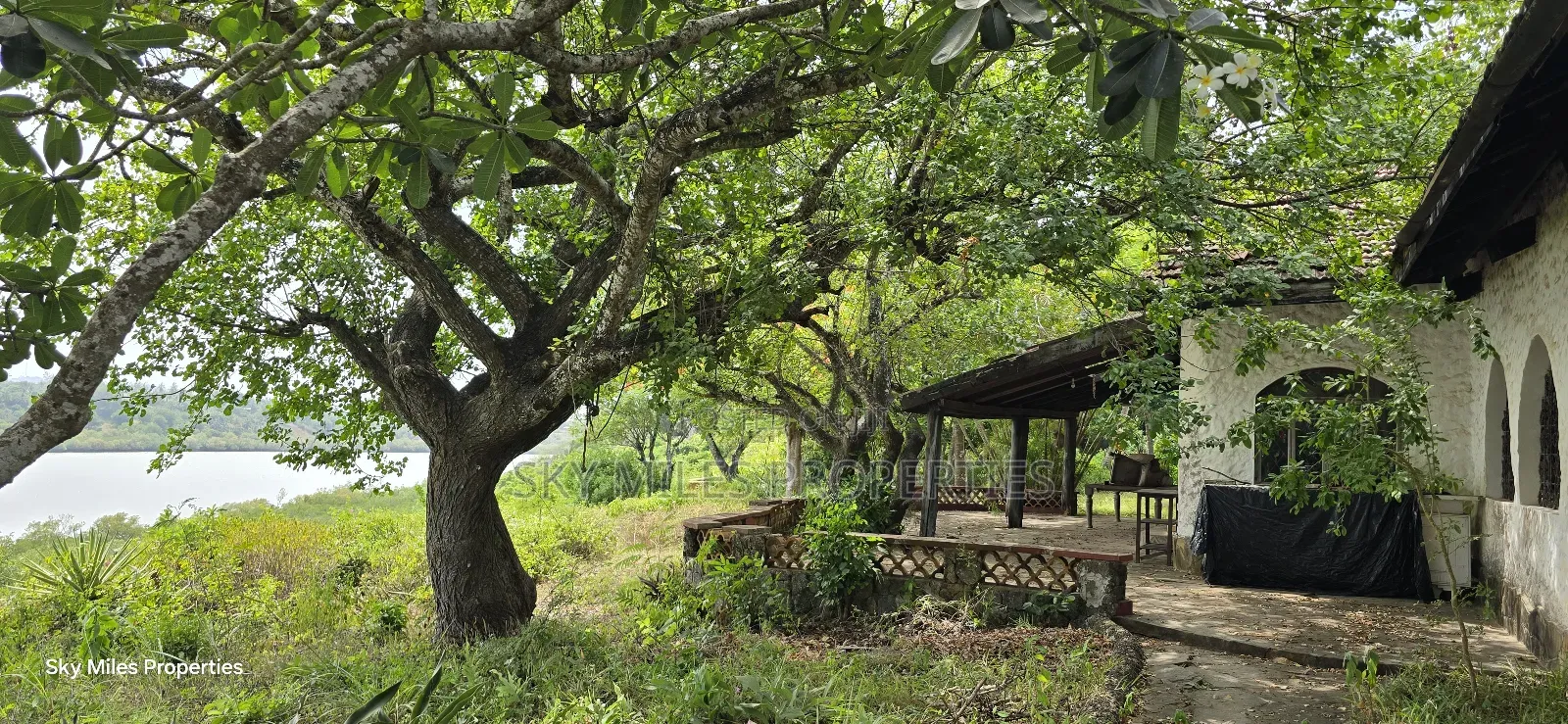 2-acre Prime Creekfront Beach Plot For Sale