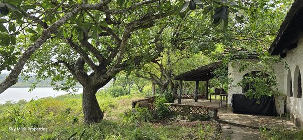2-acre Prime Creekfront Beach Plot For Sale - thumbnail 6
