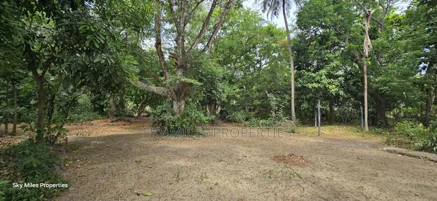 2-acre Prime Creekfront Beach Plot For Sale - thumbnail 7