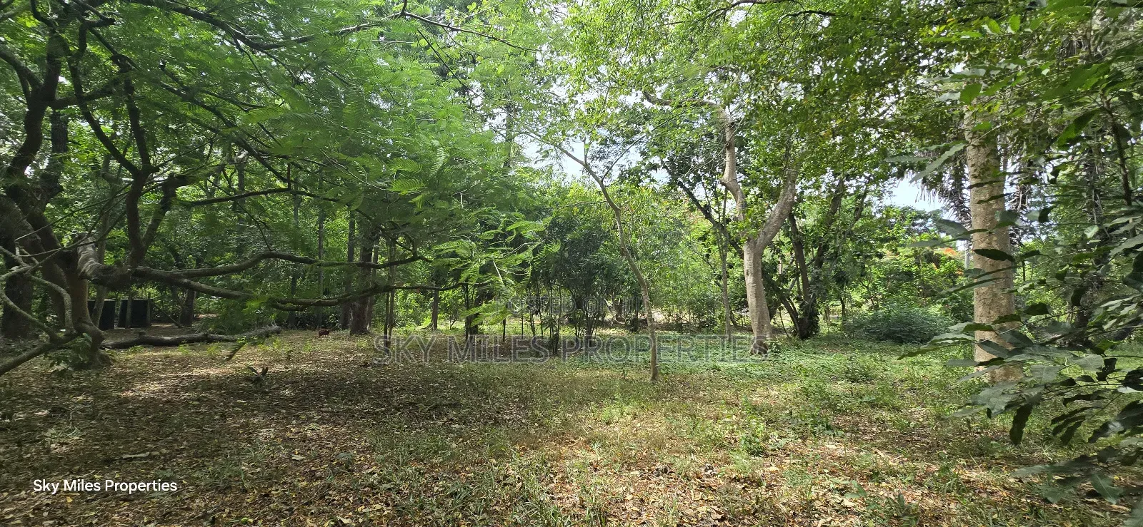 2-acre Prime Creekfront Beach Plot For Sale