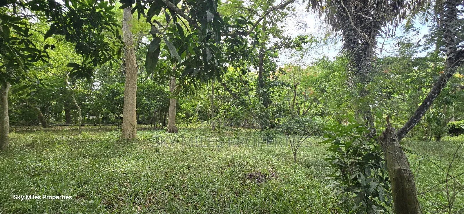 2-acre Prime Creekfront Beach Plot For Sale