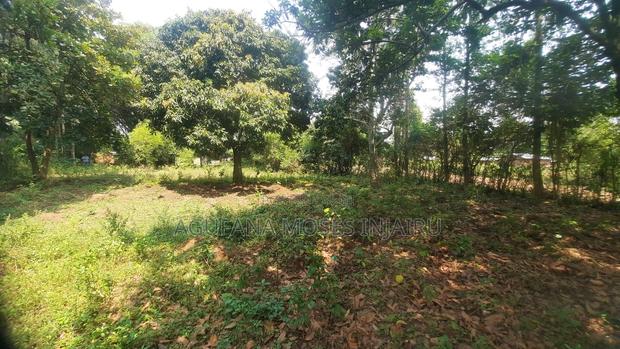 Prime Land in Mayoni,Mumias 100 Meters From Mumiasbusia Road