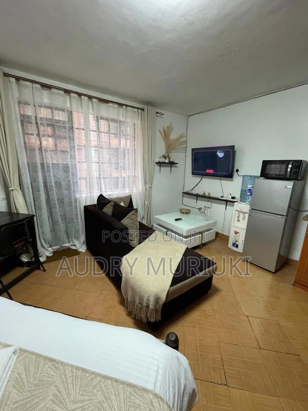 Studio Airbnb TRM Drive Roysambu Thika Rd. - main view