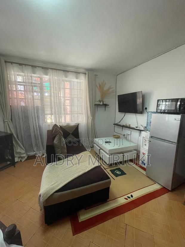 Studio Airbnb TRM Drive Roysambu Thika Rd. - thumbnail 10