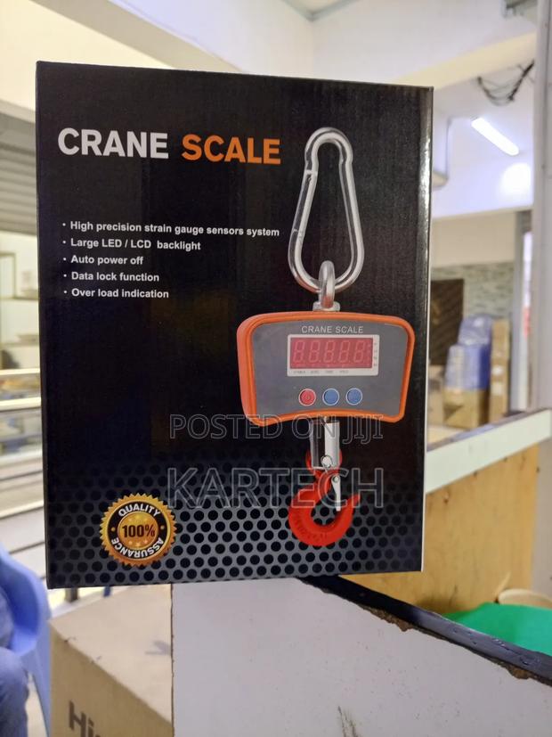 Digital Crane Scale - main view