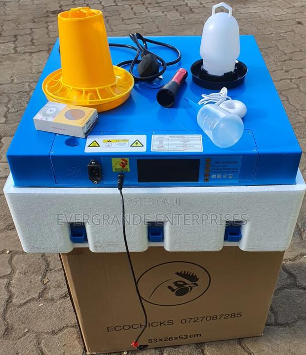 *Incubator* 64 Egg Automatic Incubator Ac/Dc - main view