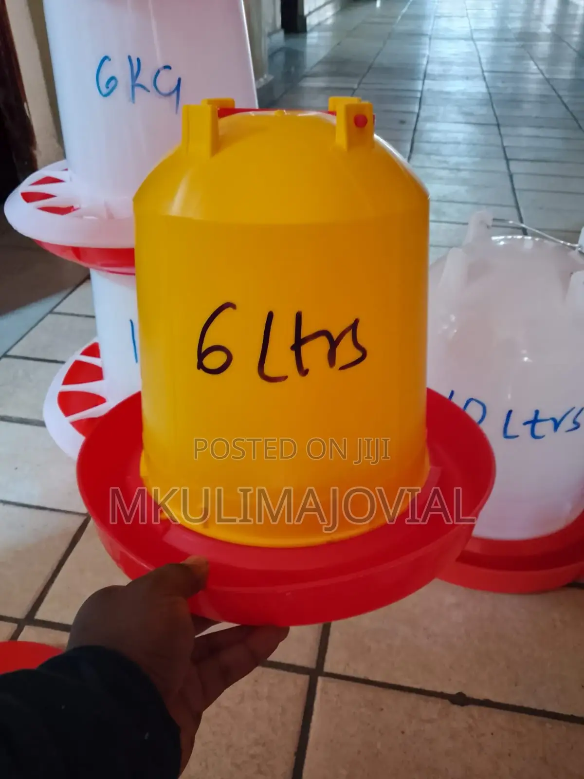 6 LTRS Yellow and White Chicken Drinkers