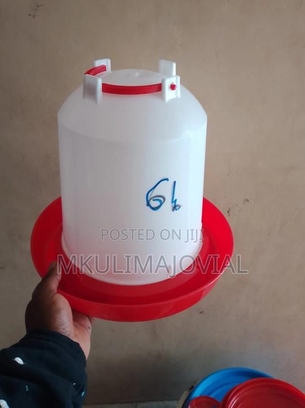 6ltrs Imported Chicken Drinker