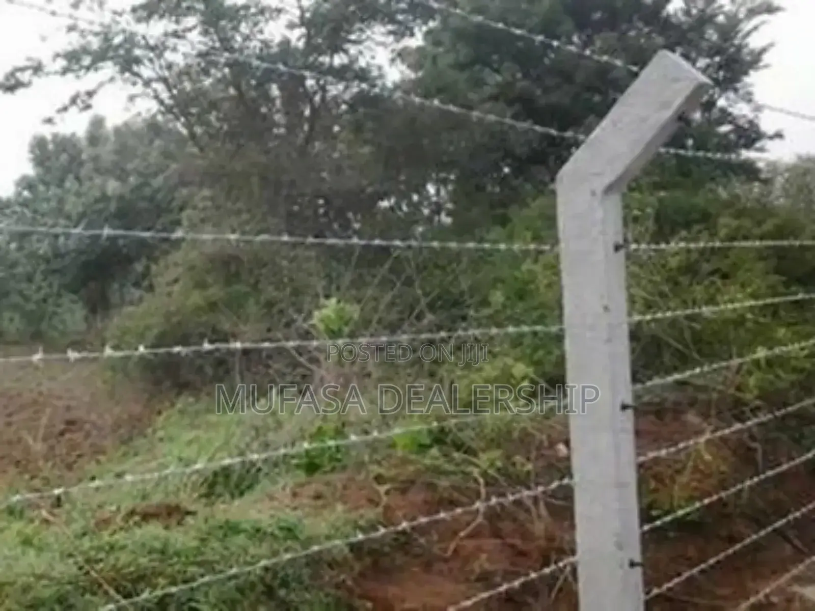 Original Stainless Barbed Wire