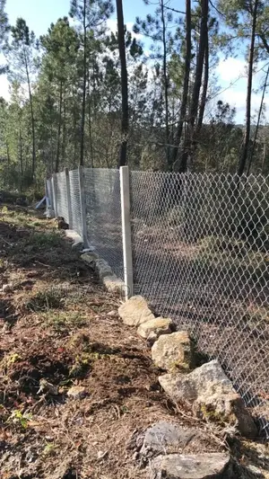 Park Chainlink Fence
