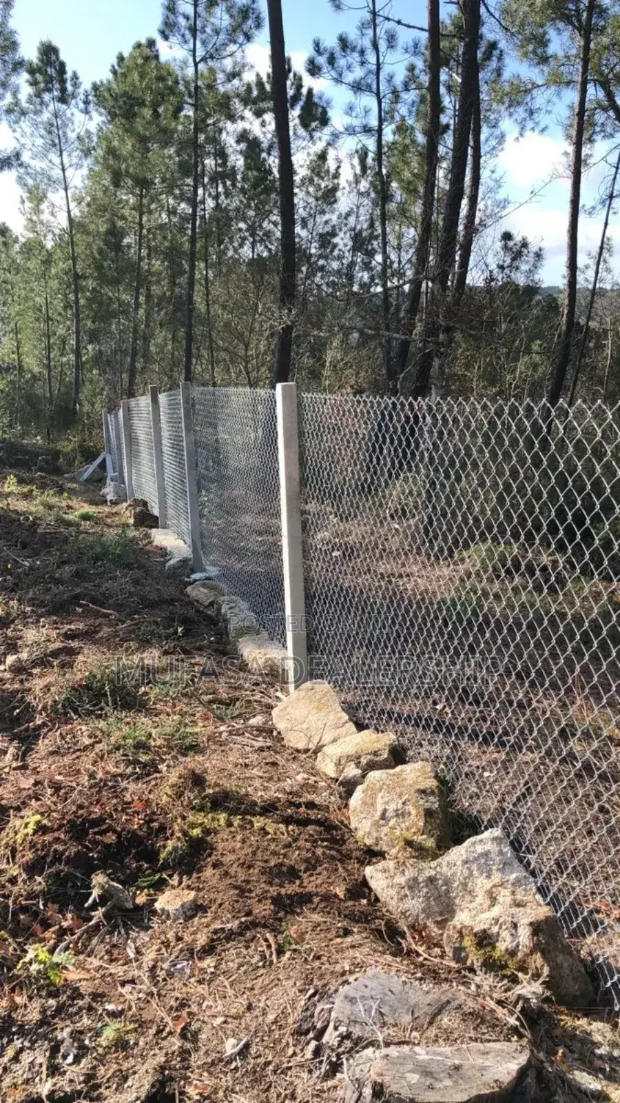 Park Chainlink Fence