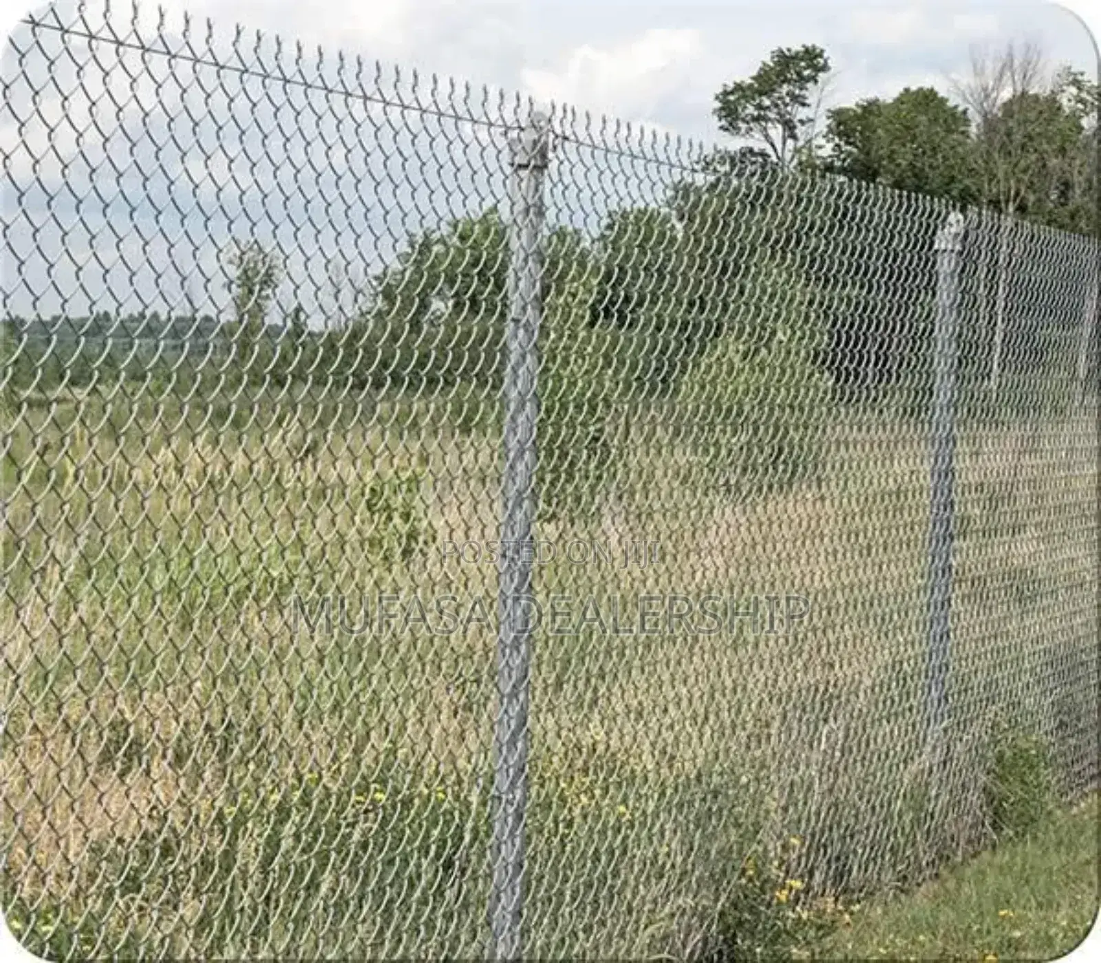 Park Chainlink Fence