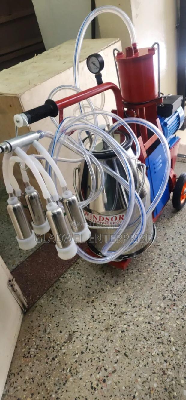 Recommend Windsor Milking Machine