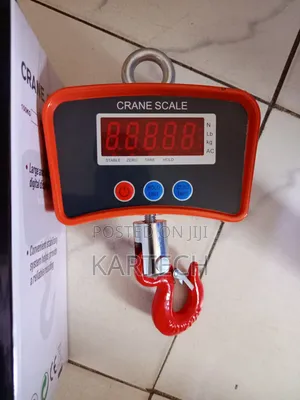 Crane Scale