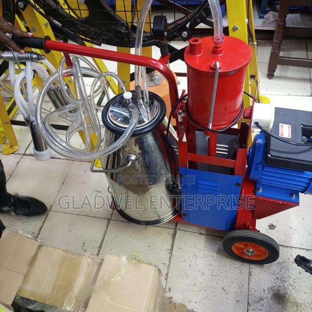 Recommend Windsor Single Milking Machine