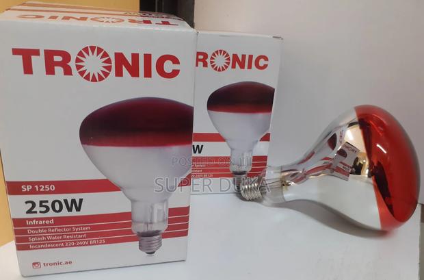 Chicken Bulb.Infrared Heat Tronic Splash Water Resistant
