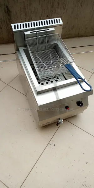 Imported Ss Chips Fryer
