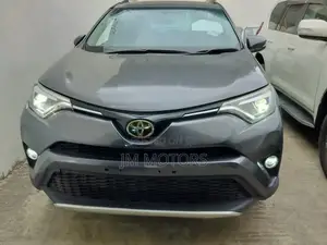 Toyota RAV4 2017 Gray