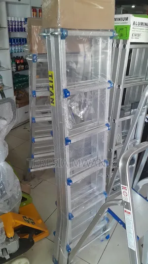Little Giant  Extension Ladders