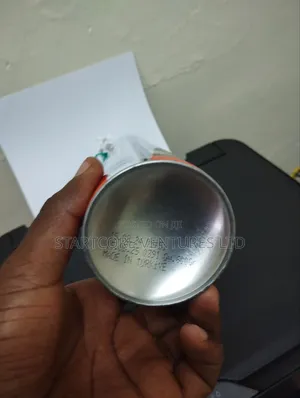 Akfix Pu Construction Foam 600
