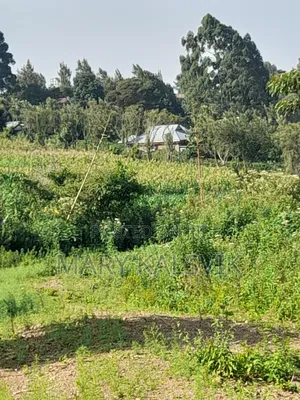 1/8, 1/4 Land for Sale Lemiso Road(Kusero View Garden)