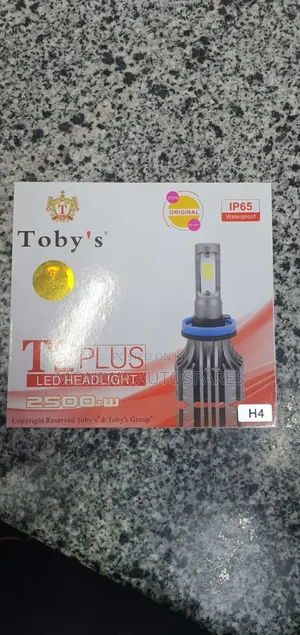 Bulb H4 Toby's 2500 Watts