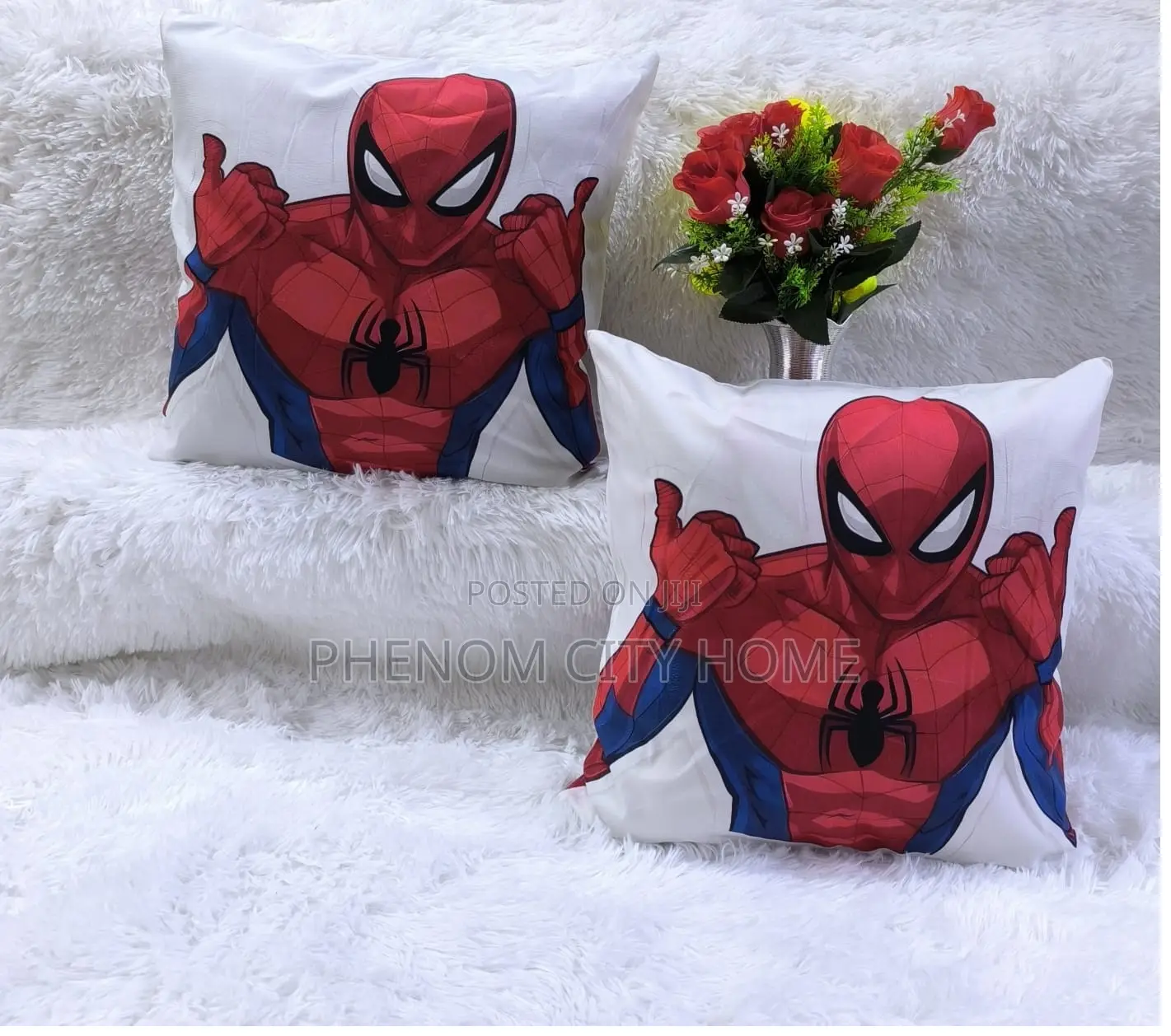 Cartoon Themed Throwpillow Cases