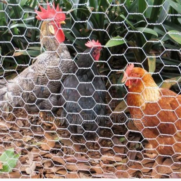 Chicken Wire Mesh 1''x 3ft×30m Roll (1827) - main view