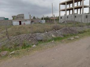 Land to Lease in Mlolongo - thumbnail 2