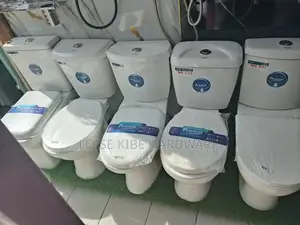 Toilet WC Francia Company