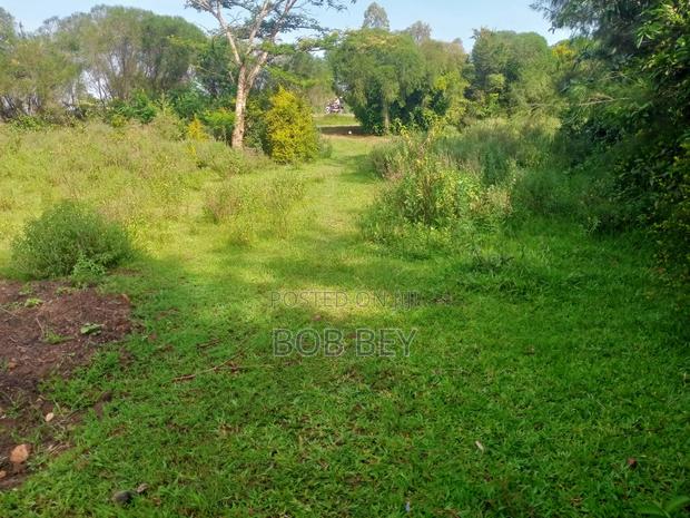 Prime Plot (125x250) for Sale at Rodi Kopany - thumbnail 3