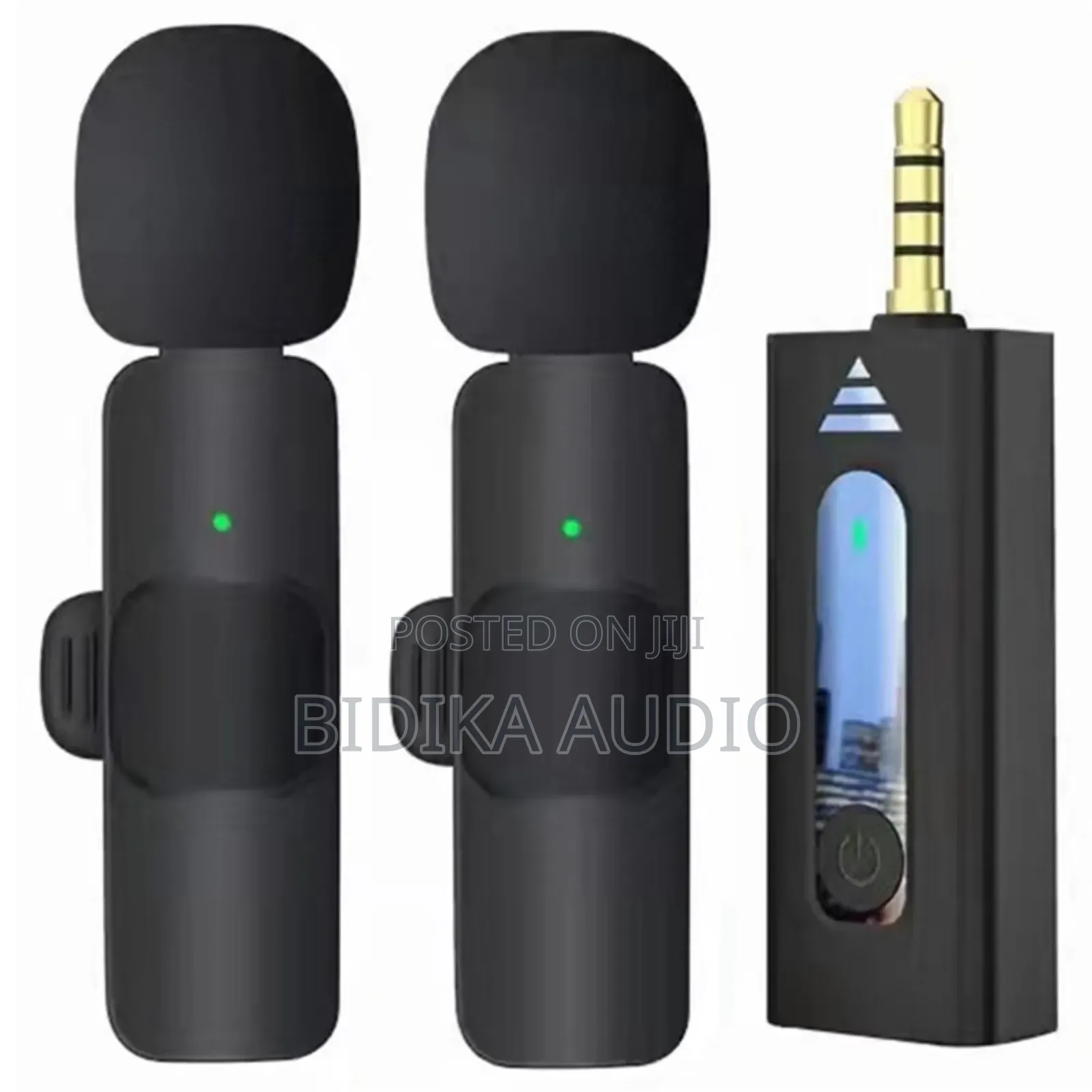 Brand New Wireless 2 Mics