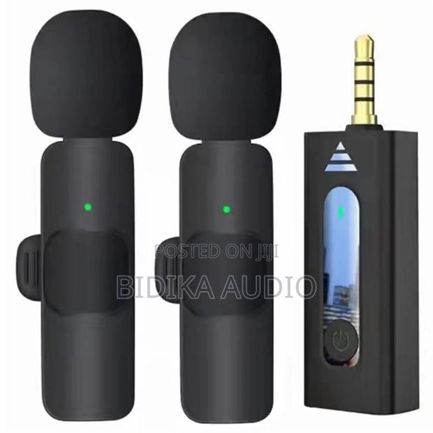 Brand New Wireless 2 Mics