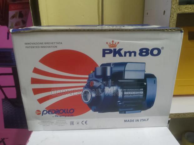 Pedrollo Water Pump 1hp - main view