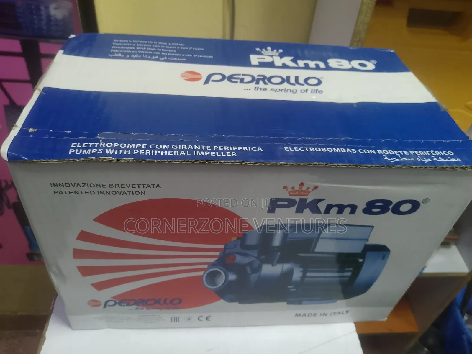 Pedrollo Water Pump 1hp