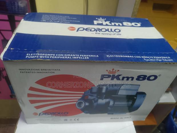 Pedrollo Water Pump 1hp - thumbnail 3