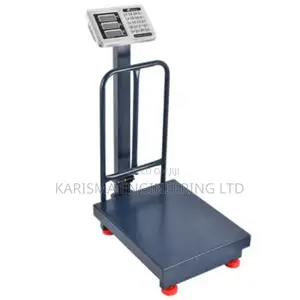 300kg Electric Digital Weighing Machine