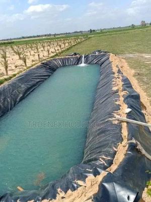 Fishpond for Food Security - main view