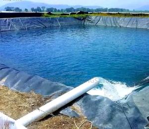 Fishpond for Good Fish Harvest - main view