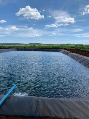 Fishpond Farming for Fasnated Outcome