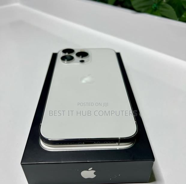 Apple iPhone 13 Pro 256 GB Silver - main view