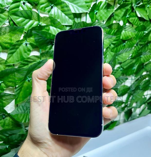 Apple iPhone 13 Pro 256 GB Silver - thumbnail 4