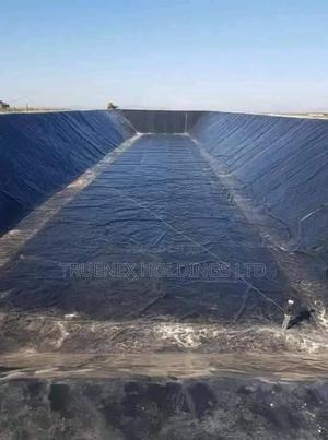Fishpond Farming for Quality Fish