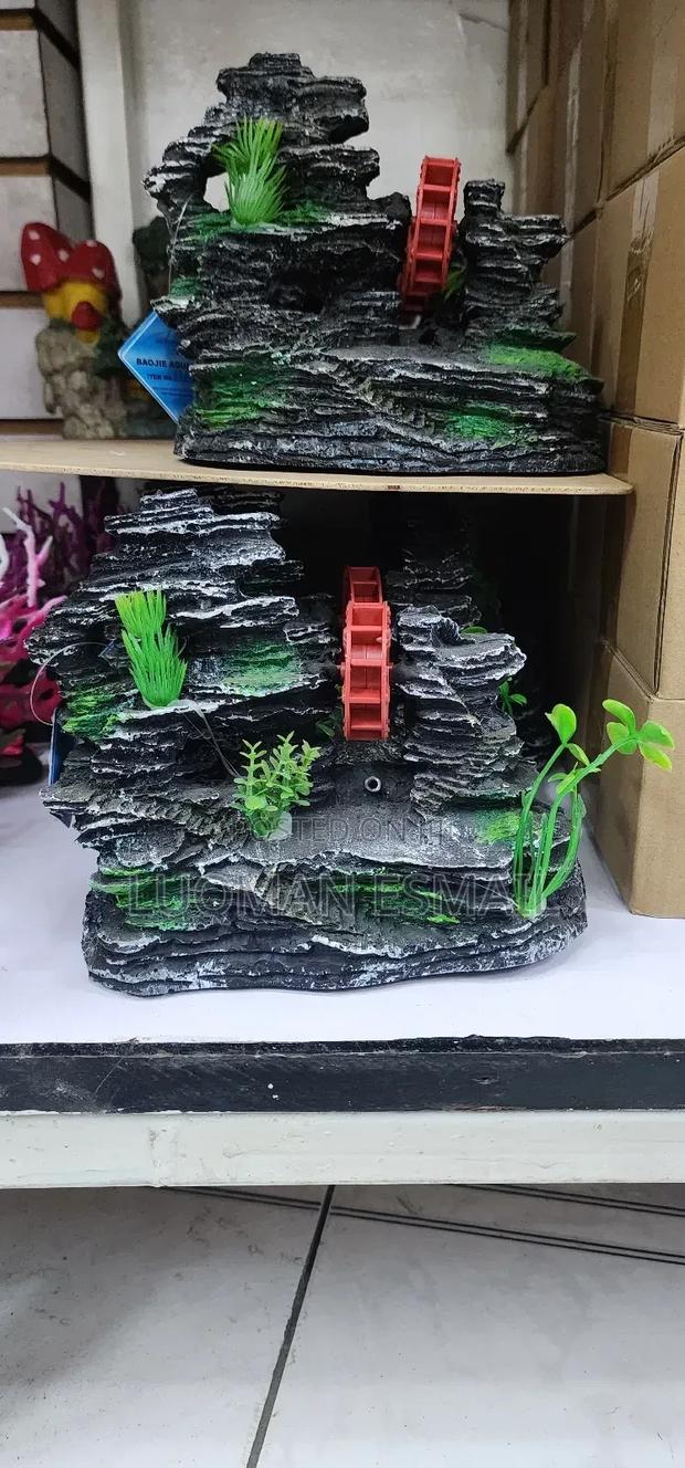 Aquarium Plants - main view