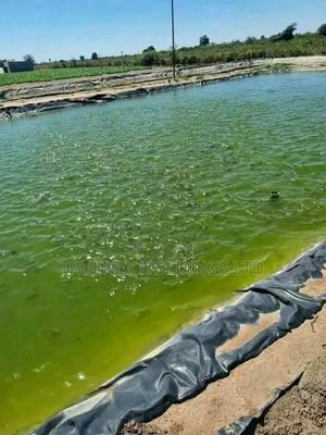 Precise Fishponds Construction Services - main view