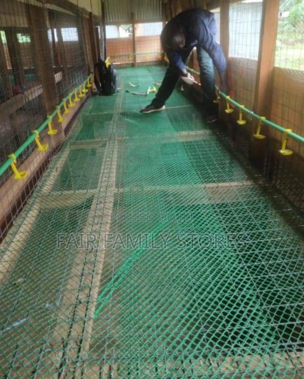 Plastic Poultry Mesh 1m*1m - main view