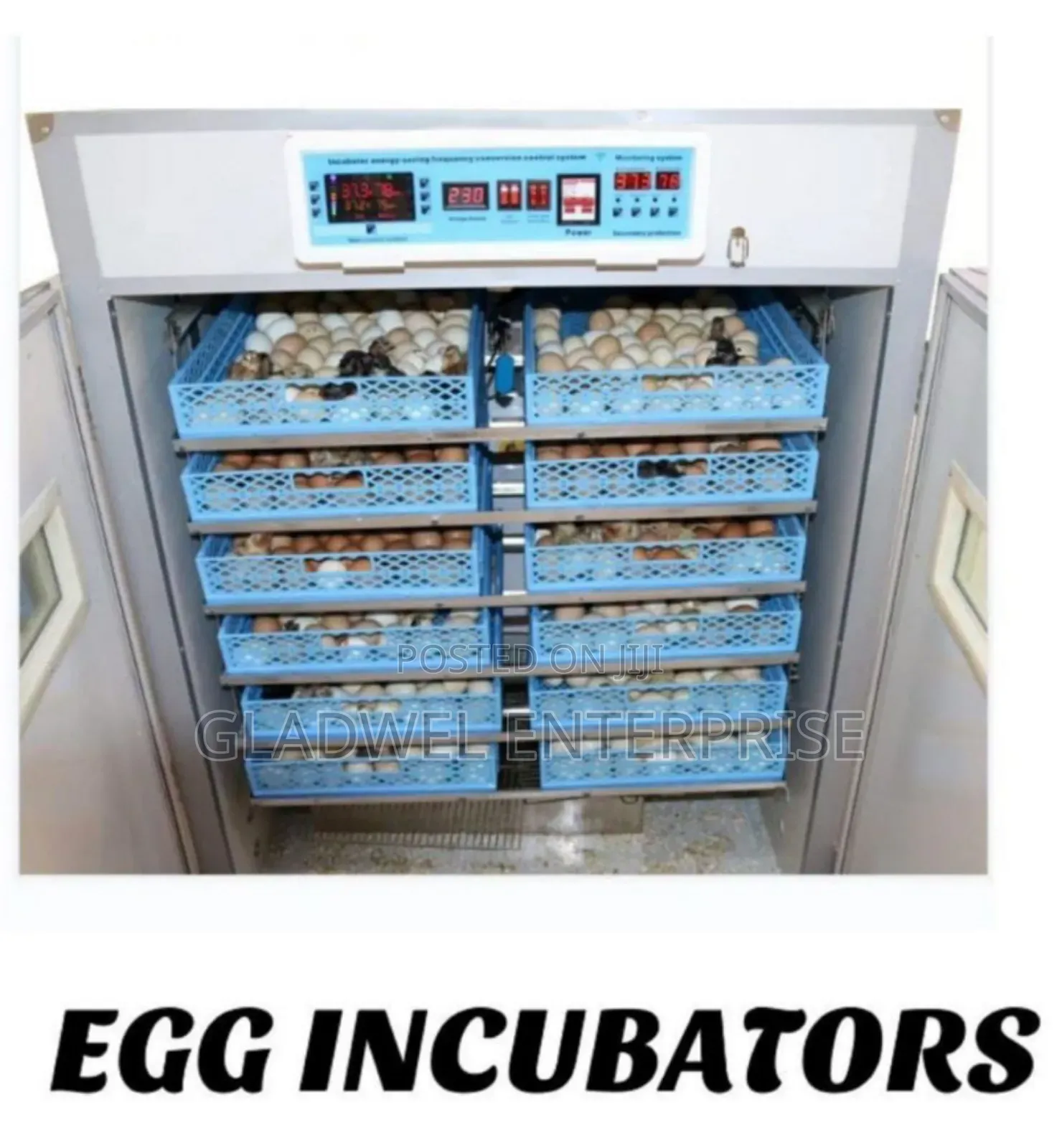 528 Eggs Automatic Incubator/Impoted Egg Incubator Ac/Dc